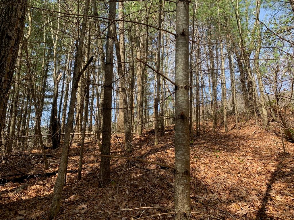 Lot 55A Grizzly Ridge