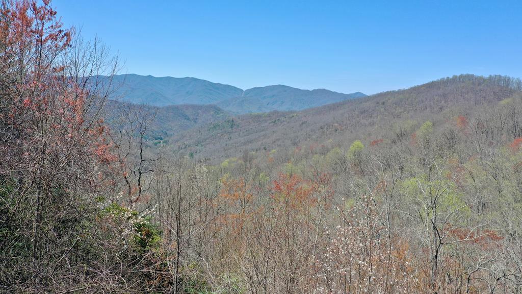 Lot 55A Grizzly Ridge