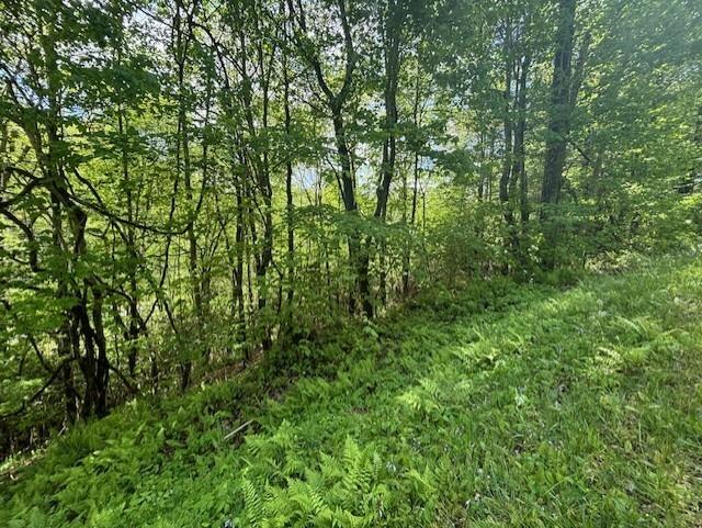 Lot 55A Grizzly Ridge