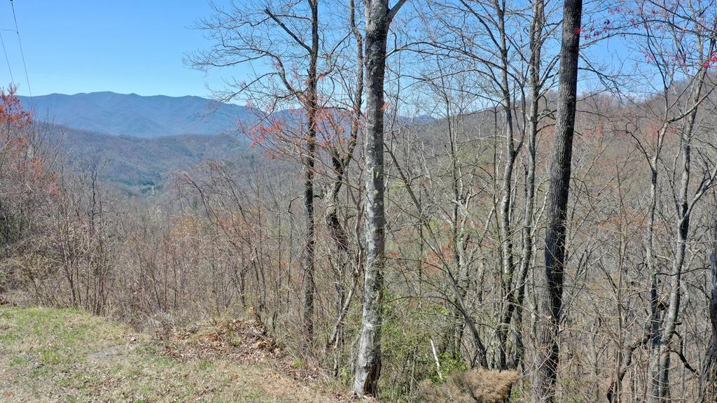 Lot 55A Grizzly Ridge