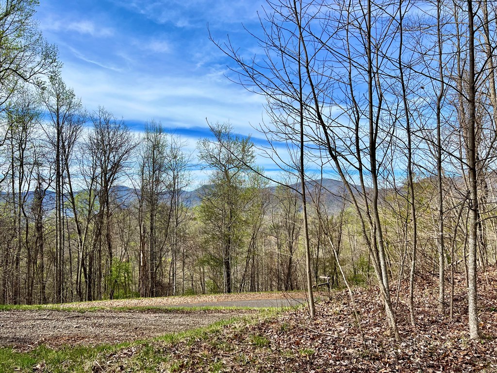 Lot 35 Lyle Mountain Trail