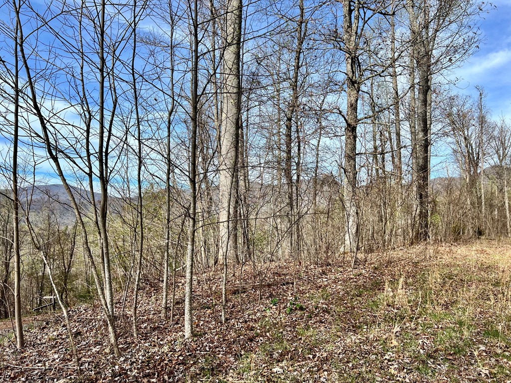 Lot 35 Lyle Mountain Trail
