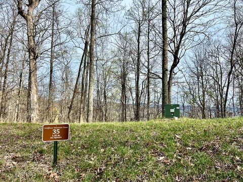 Photo of Lot 35 Lyle Mountain Trail, Franklin, NC 28734 (MLS # 26047136)