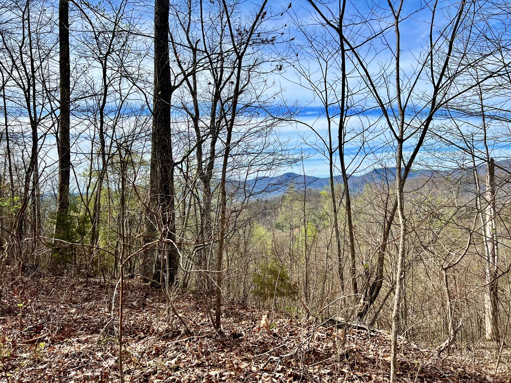 Lot 35 Lyle Mountain Trail