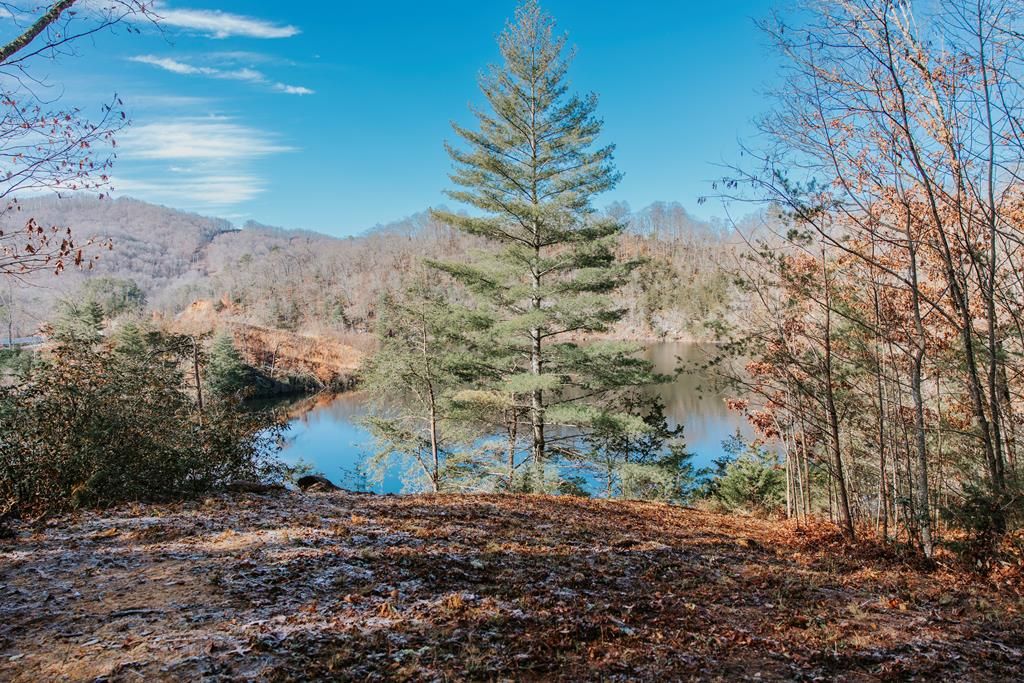 Photo of 134 Dars Lane, Tuckasegee, NC 28783 (MLS # 26042806)