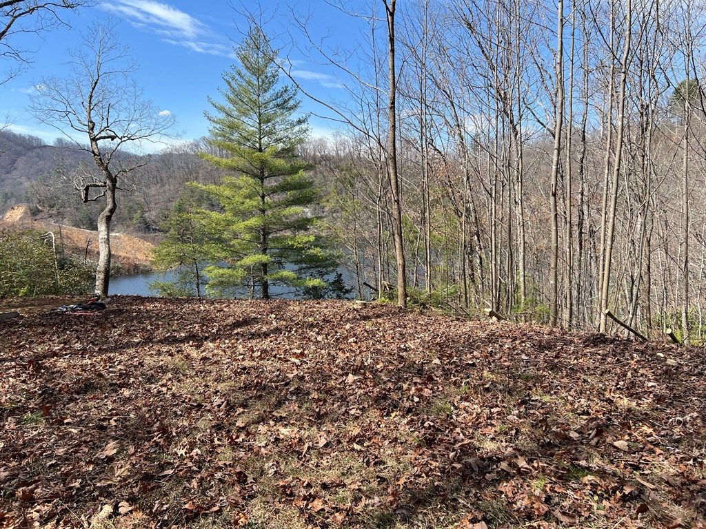 Photo of 134 Dars Lane, Tuckasegee, NC 28783 (MLS # 26042806)