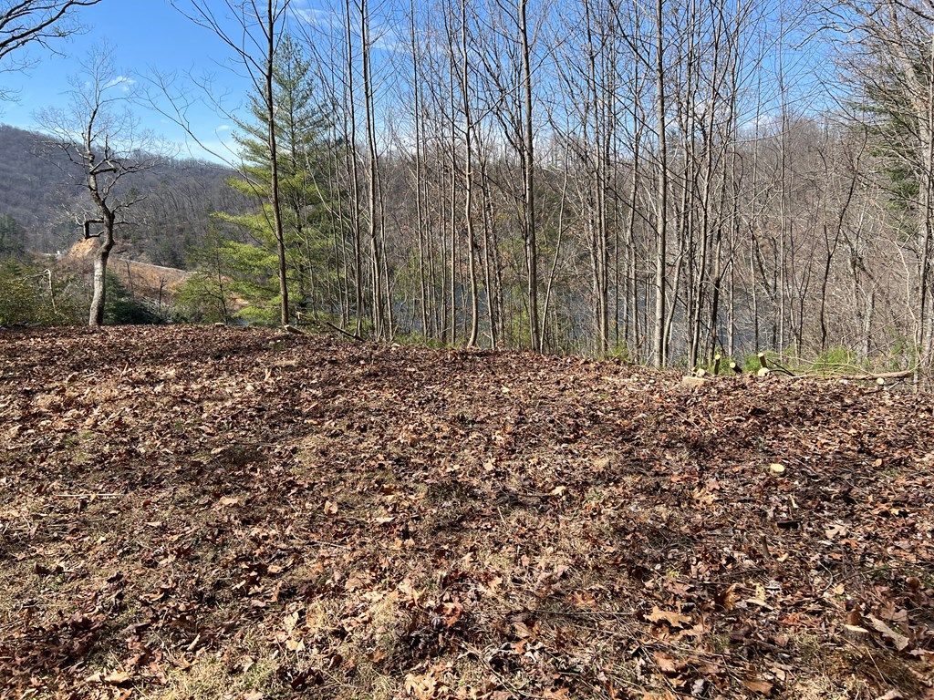 Photo of 134 Dars Lane, Tuckasegee, NC 28783 (MLS # 26042806)