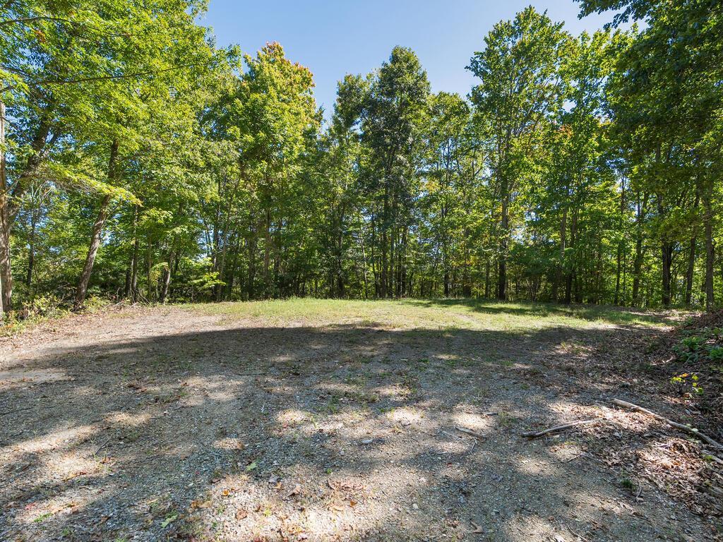 Photo of 00 Mcnary Drive, Clyde, NC 28721 (MLS # 26048673)
