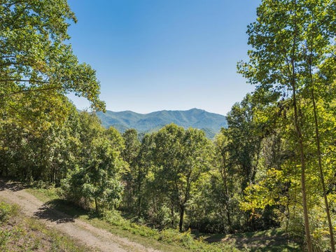 Photo of 00 Mcnary Drive, Clyde, NC 28721 (MLS # 26048673)