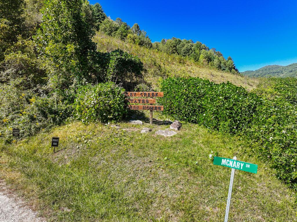 Photo of 00 Mcnary Drive, Clyde, NC 28721 (MLS # 26048673)