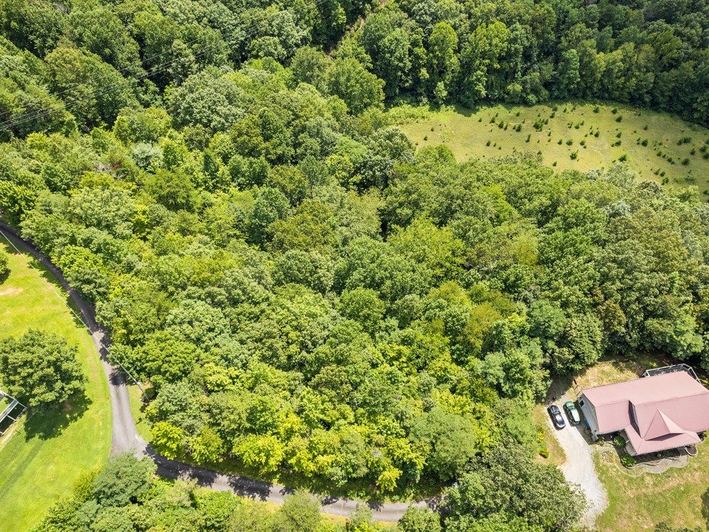 Photo of Lot #46 Hazel Hollow, Sylva, NC 28779 (MLS # 26041887)
