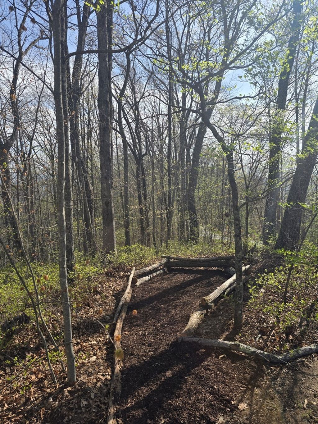 Photo of Lot 85 Waterdance Drive, Tuckasegee, NC 28783 (MLS # 26046702)