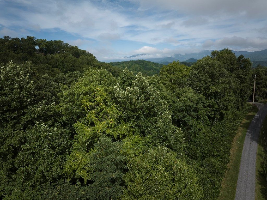Photo of 0 Tuckasegee Overlook, Bryson City, NC 28713 (MLS # 26037540)