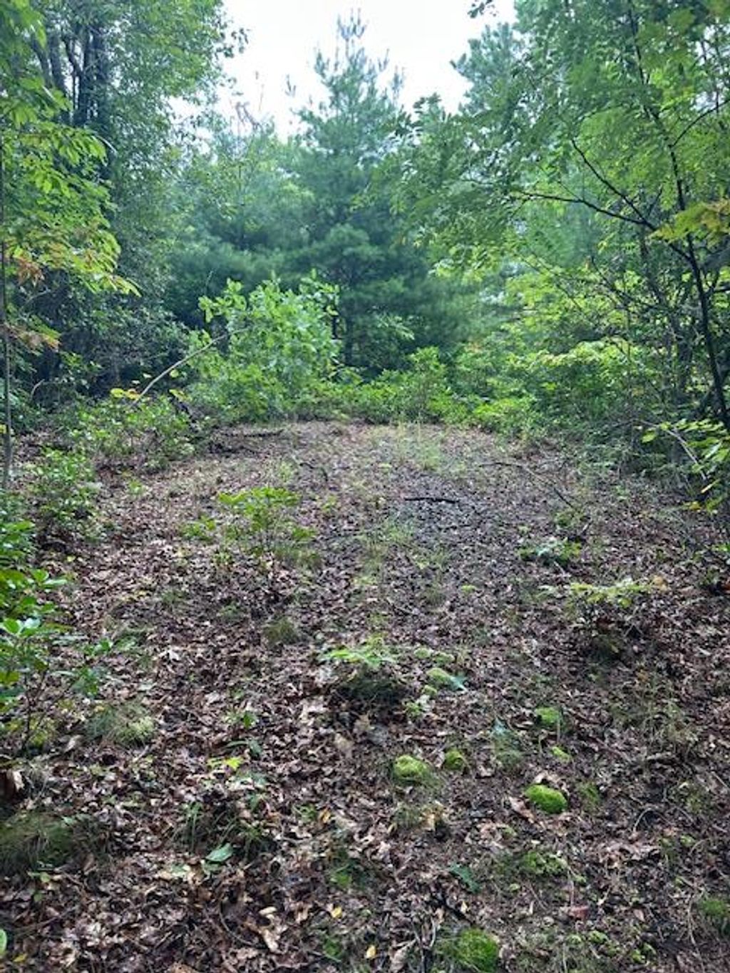 Photo of 0 Crowfoot Trail, Bryson City, NC 28713 (MLS # 26042063)