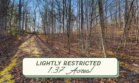 Photo of 00 Fox Layre, Franklin, NC 28734 (MLS # 26043059)