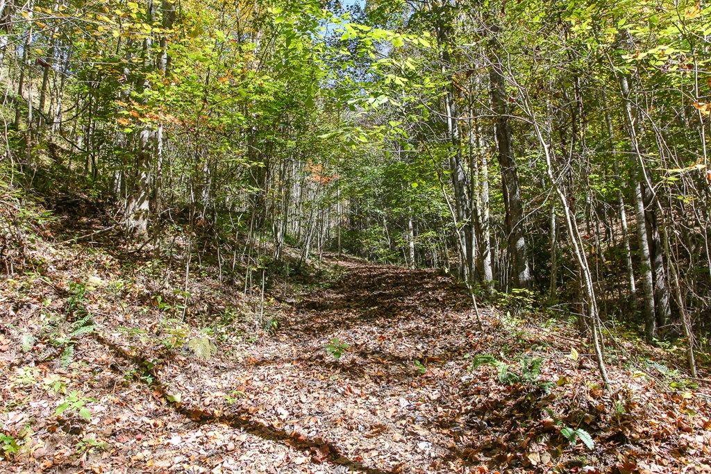 Photo of Lot 43 Falls View Drive, Bryson City, NC 28713 (MLS # 26042670)