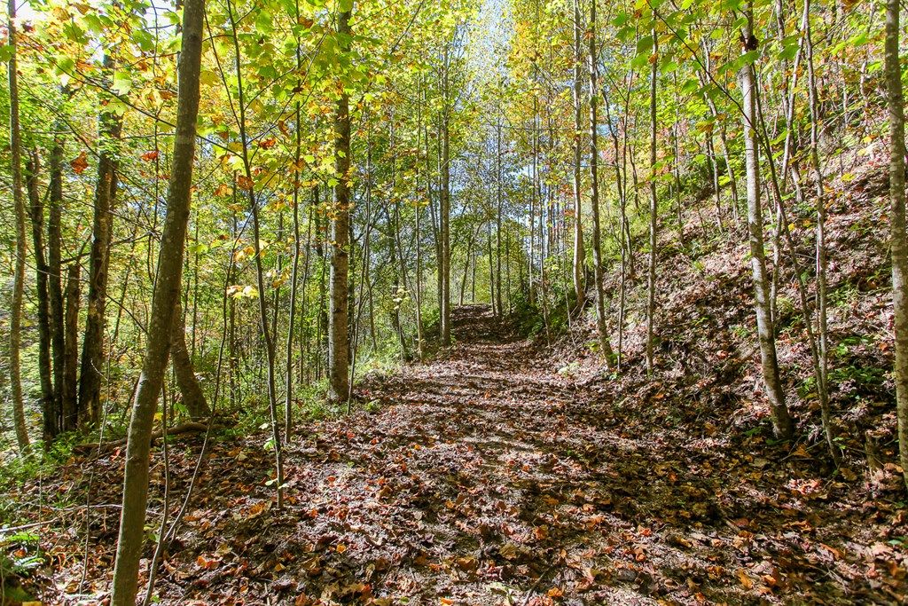 Photo of Lot 43 Falls View Drive, Bryson City, NC 28713 (MLS # 26042670)