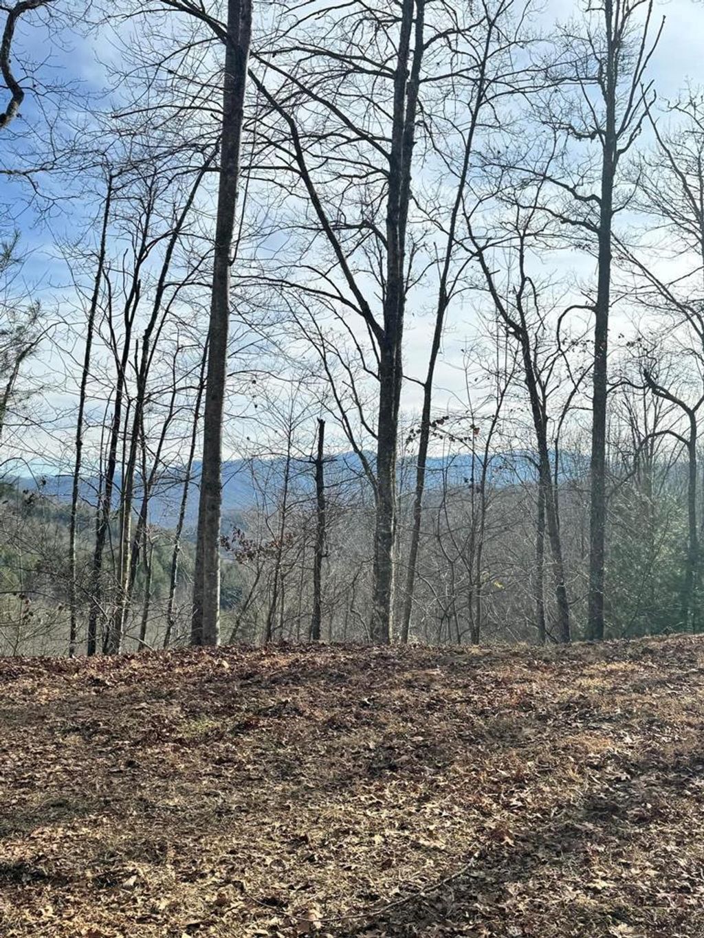 Photo of 0 Round Top, Almond, NC 28702 (MLS # 26040198)