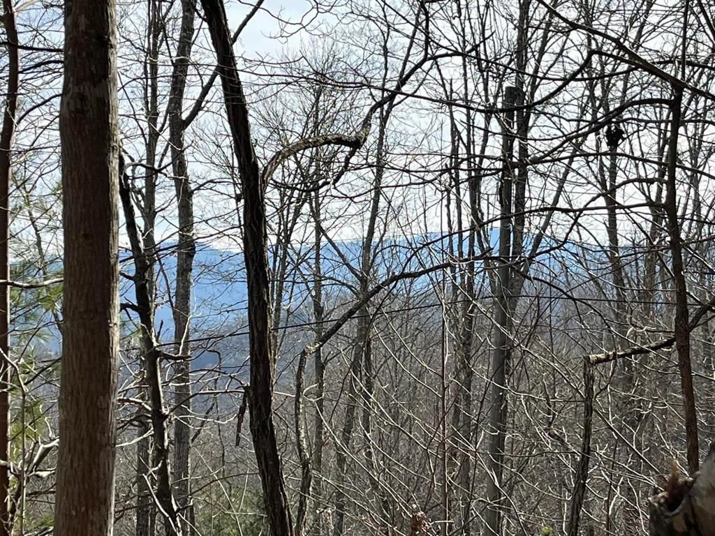 Photo of 0 Round Top, Almond, NC 28702 (MLS # 26040198)