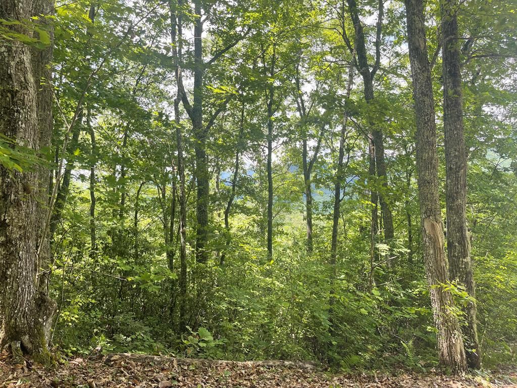 Photo of 500 Fernwood Drive, Bryson City, NC 28713 (MLS # 26041193)