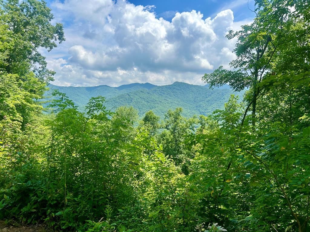 Photo of Lot 11 Hickory Rock Road, Bryson City, NC 28713 (MLS # 26042291)
