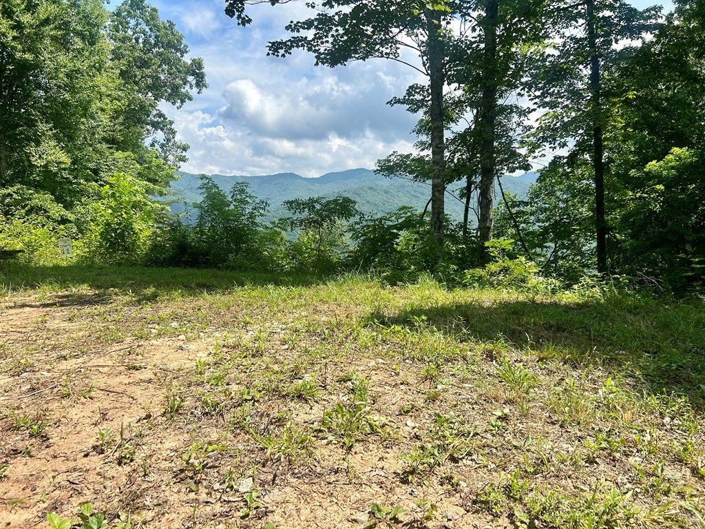 Photo of Lot 11 Hickory Rock Road, Bryson City, NC 28713 (MLS # 26042291)