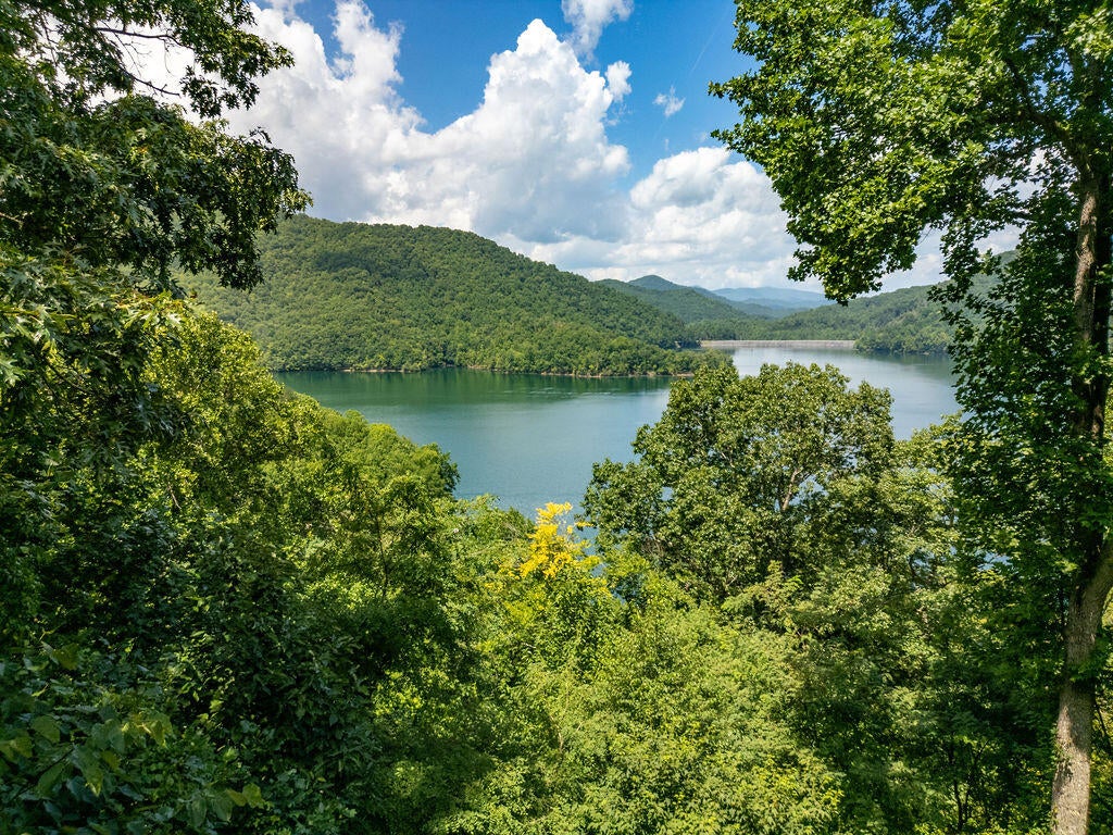 135 Ridgetop Dr