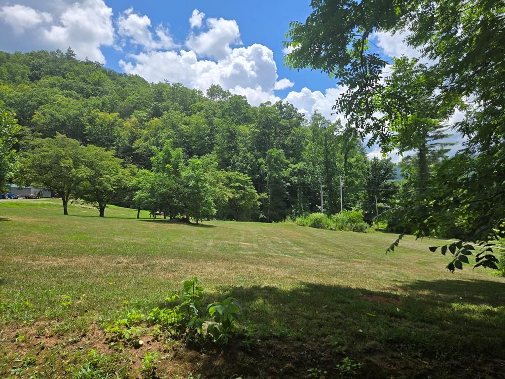 Photo of 2A Staghorn Lane, Cullowhee, NC 28723 (MLS # 26041687)
