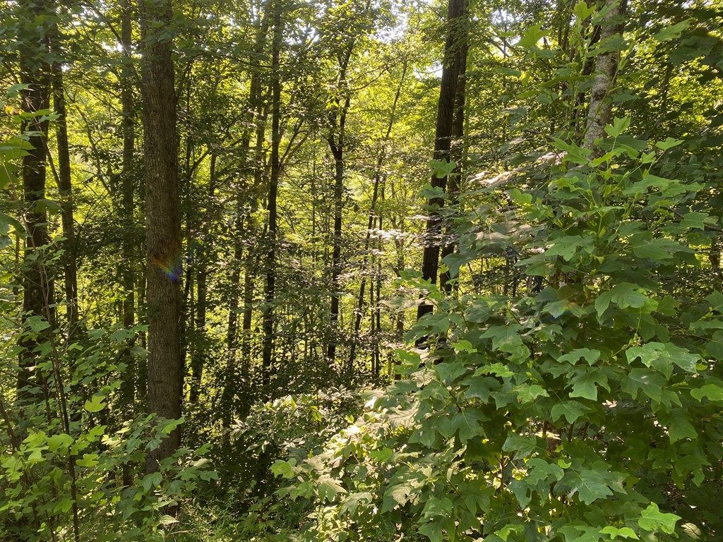 Photo of Lot K-3 Village Cove Dr, Bryson City, NC 28713 (MLS # 26041177)