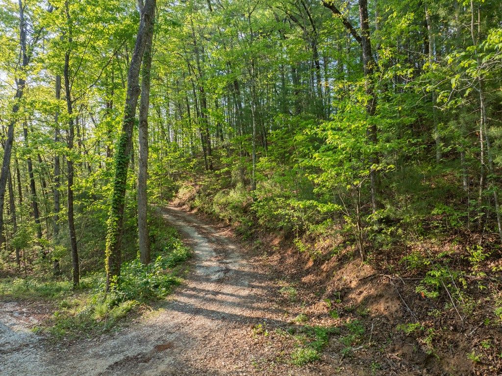 Photo of 000 Howard Edwards Road, Robbinsville, NC 28771 (MLS # 26047169)