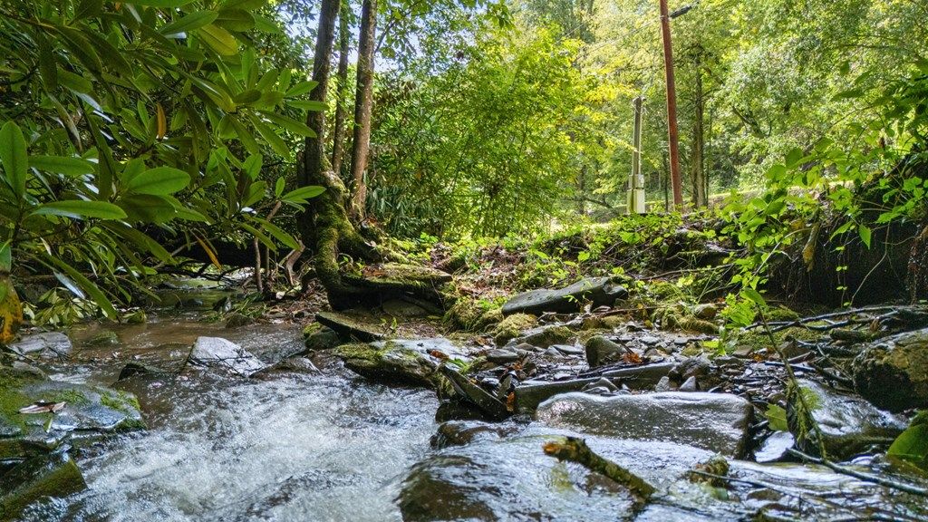Photo of 3002 Brush Creek Rd, Bryson City, NC 28713 (MLS # 26042090)