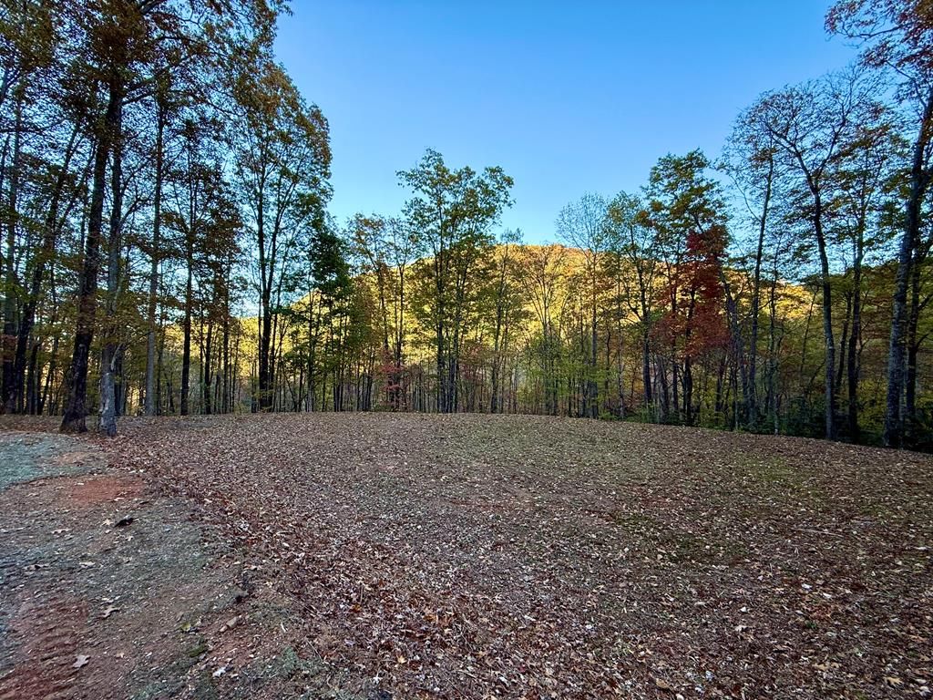 Photo of Lot 44 Coppermine Ridge, Whittier, NC 28789 (MLS # 26042512)