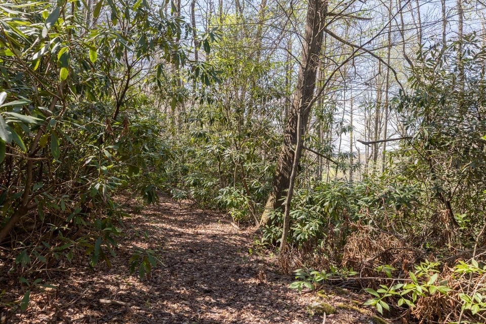 4419 Flat Mountain Road