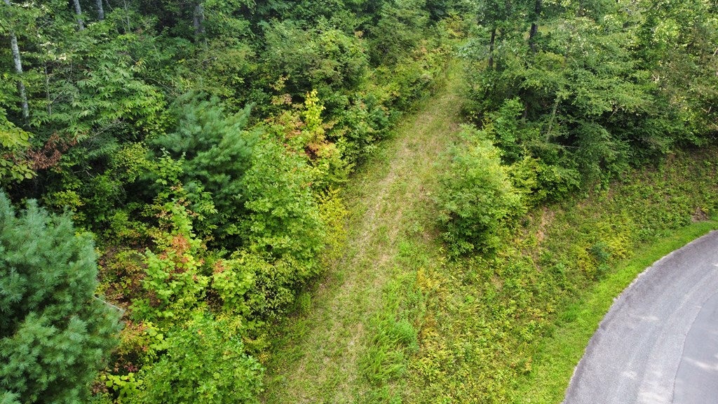 LOT 5 Sweet Shrub Lane
