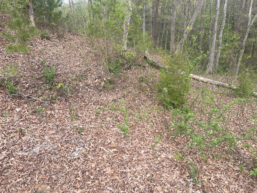 Lot 22 River Club Drive
