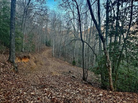 Photo of 0 Bradley Creek Rd, Franklin, NC 28734 (MLS # 26042870)