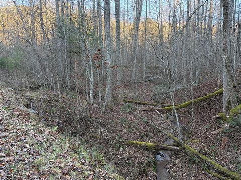Photo of Lot 15 Gold Mountain High, Franklin, NC 28734 (MLS # 26041879)