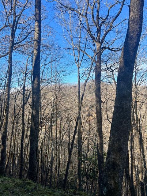 Photo of Lot 2 Mt. Tabor, Topton, NC 28781 (MLS # 26043035)