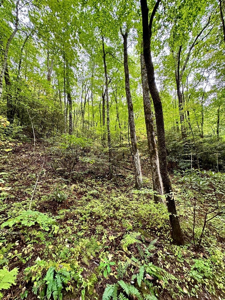 Photo of Lot 121 Granny Squirrel Dr, Andrews, NC 28901 (MLS # 26048006)