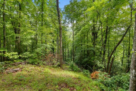 Photo of 00 Brandy Lane, Franklin, NC 28734 (MLS # 26047891)
