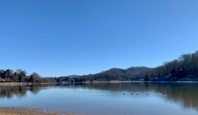 Lake Junaluska, North Carolina 28745, United States, 2 Bedrooms Bedrooms, ,2 BathroomsBathrooms,Residential,Active,41284
