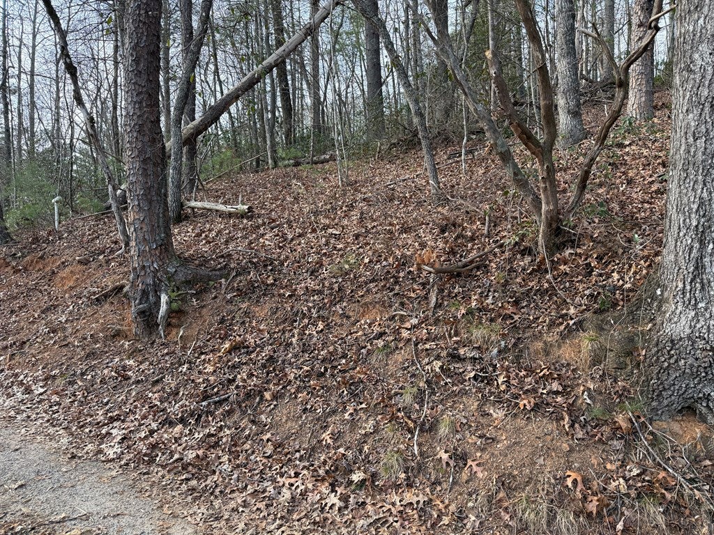 Lot 5 Ideal Acres