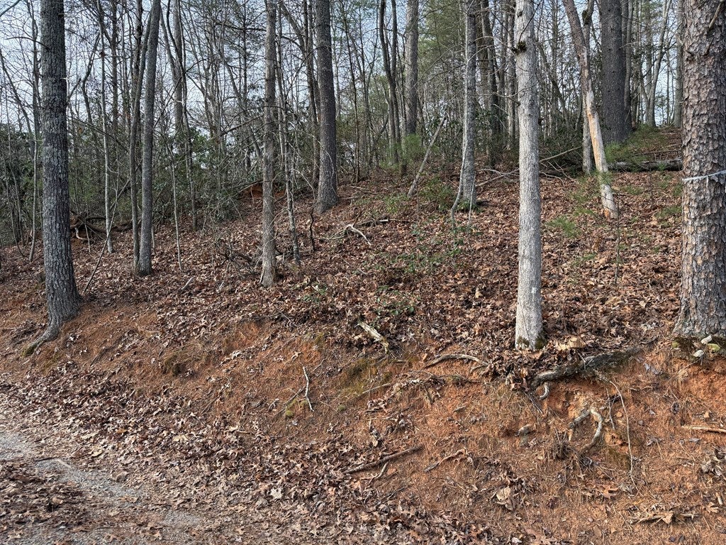Lot 5 Ideal Acres