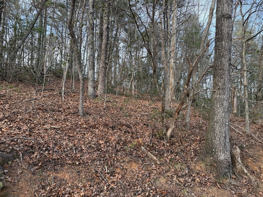 Lot 5 Ideal Acres
