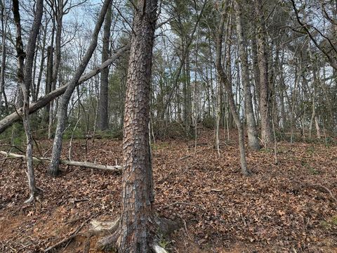 Photo of Lot 5 Ideal Acres, Otto, NC 28763 (MLS # 26042902)