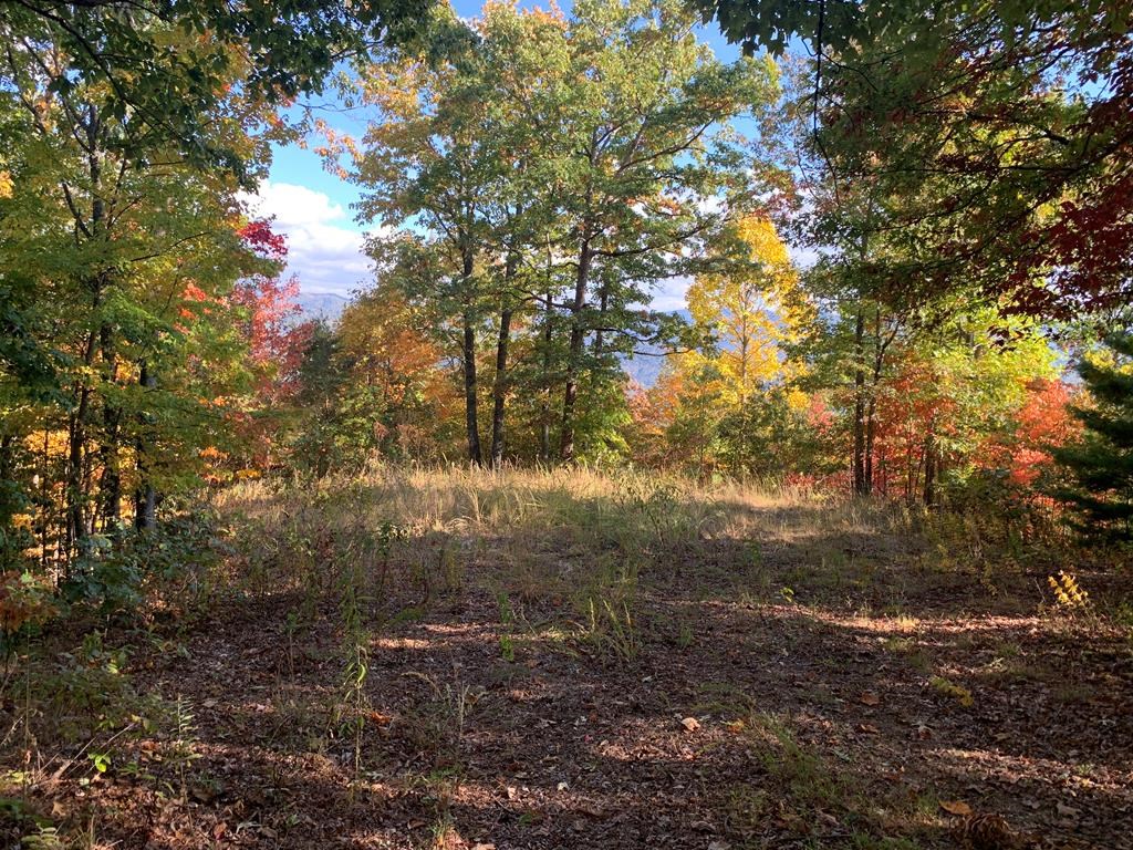 Bryson City, North Carolina 28713, United States, ,Land,Active,54192