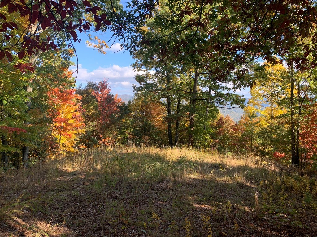 Bryson City, North Carolina 28713, United States, ,Land,Active,54192