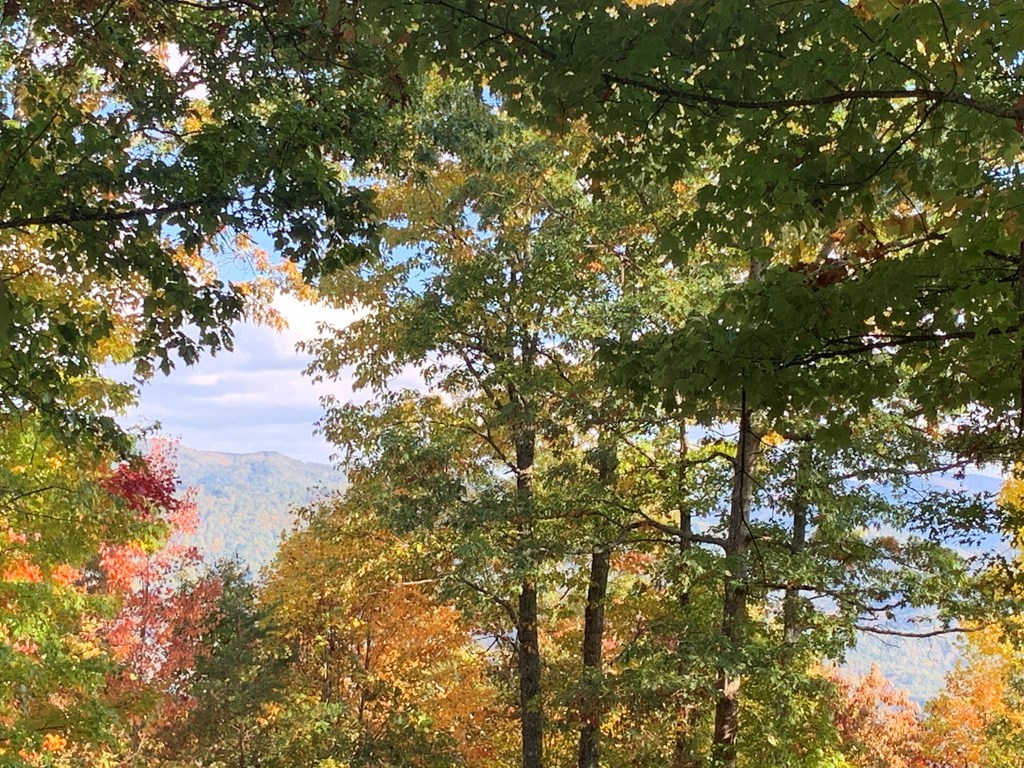 Bryson City, North Carolina 28713, United States, ,Land,Active,54192