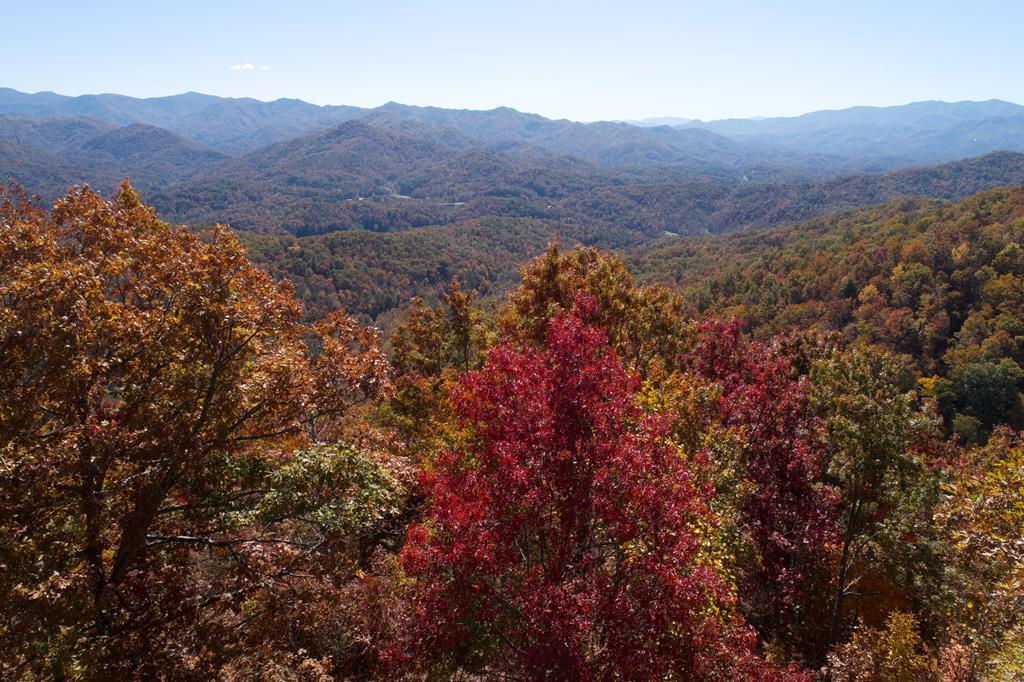Bryson City, North Carolina 28713, United States, ,Land,Active,54192