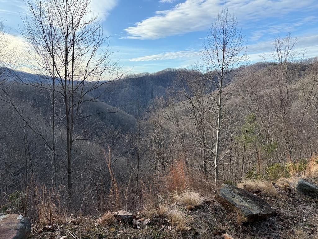 Photo of Lot 38 Alarka Creek Properties, Bryson City, NC 28713 (MLS # 26046554)